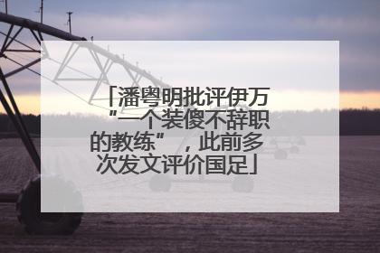 潘粤明批评伊万“一个装傻不辞职的教练”，此前多次发文评价国足
